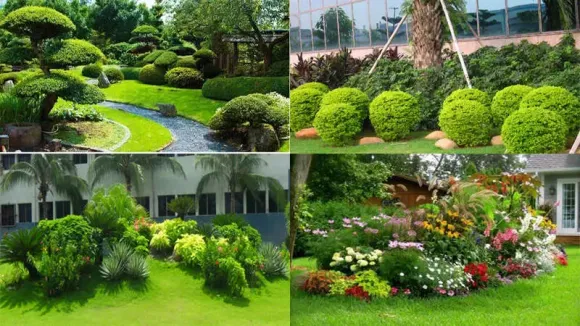 DỊCH VỤ
