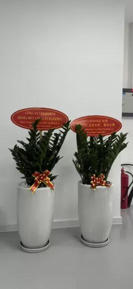 Dự án thi công tiểu cảnh nhà phố hiện đại